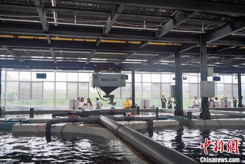 巴掌田上出實(shí)招 科技讓重慶山地農(nóng)業(yè)更智慧